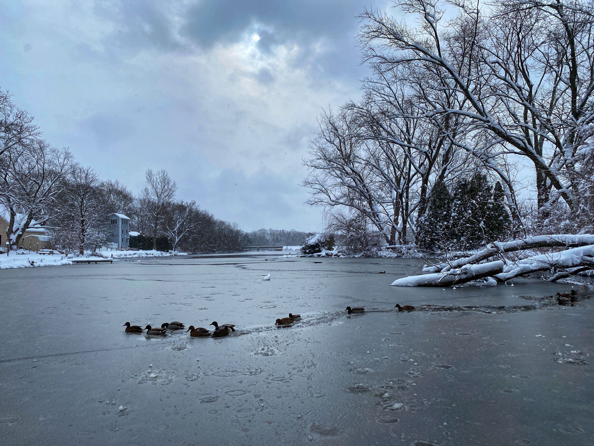 Erica Bissonnette - A peacful Winter Day