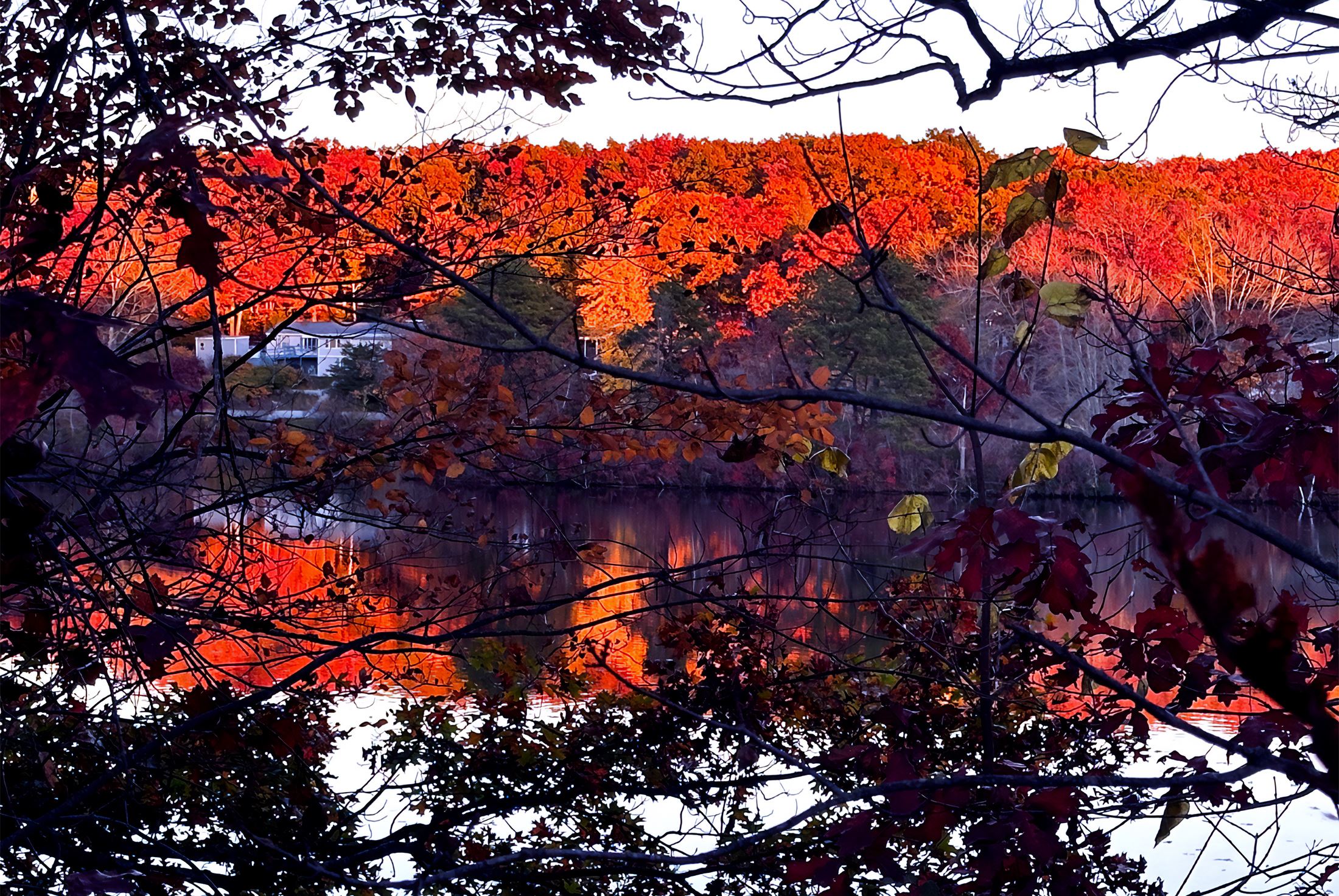 Farm Street Harris Pond